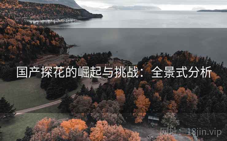 国产探花的崛起与挑战：全景式分析