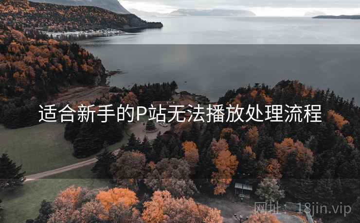 适合新手的P站无法播放处理流程