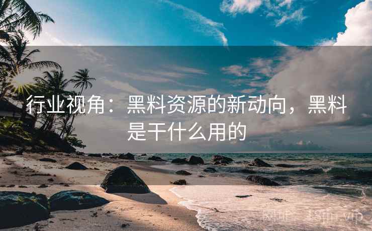 行业视角：黑料资源的新动向，黑料是干什么用的