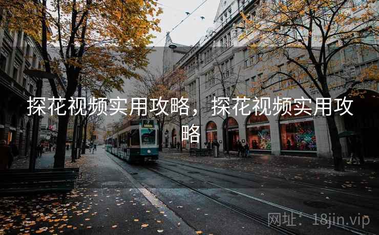 探花视频实用攻略，探花视频实用攻略