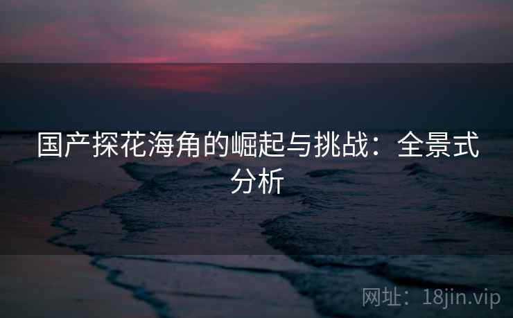 国产探花海角的崛起与挑战：全景式分析
