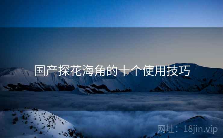 国产探花海角的十个使用技巧