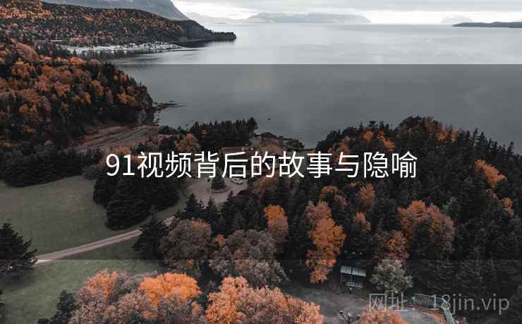 91视频背后的故事与隐喻