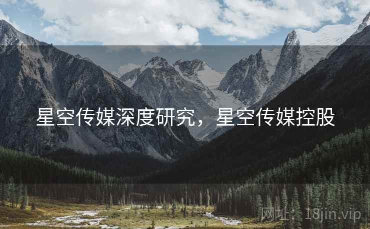 星空传媒深度研究，星空传媒控股