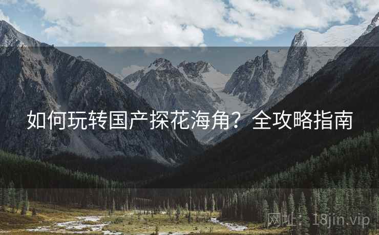 如何玩转国产探花海角？全攻略指南