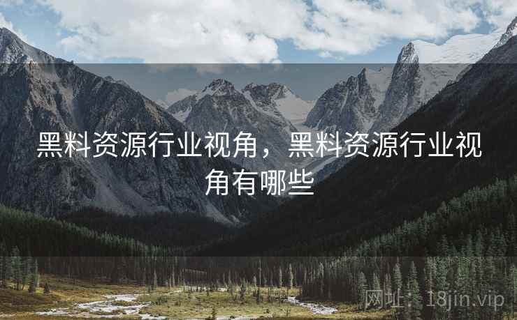 黑料资源行业视角，黑料资源行业视角有哪些