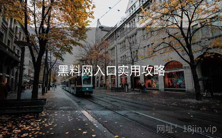 黑料网入口实用攻略