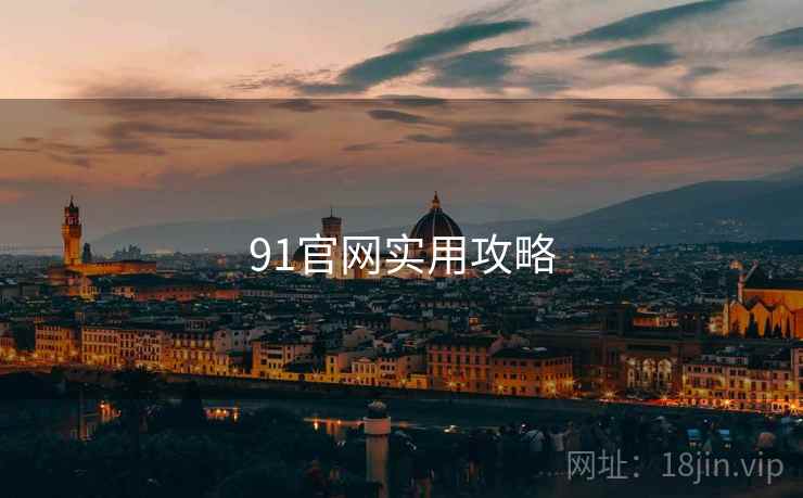 91官网实用攻略
