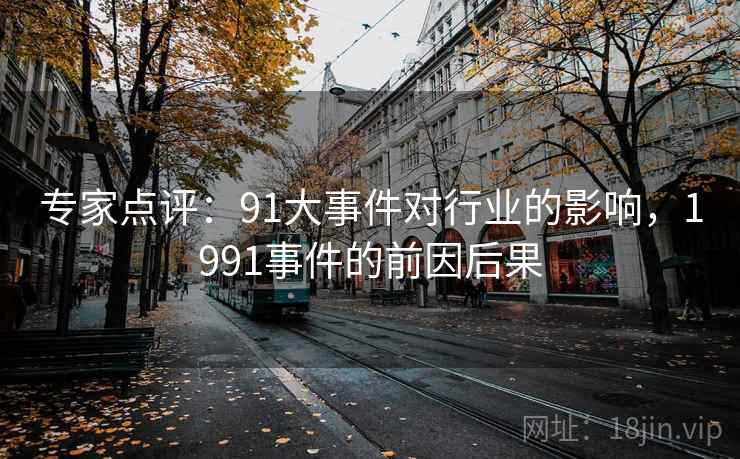 专家点评：91大事件对行业的影响，1991事件的前因后果
