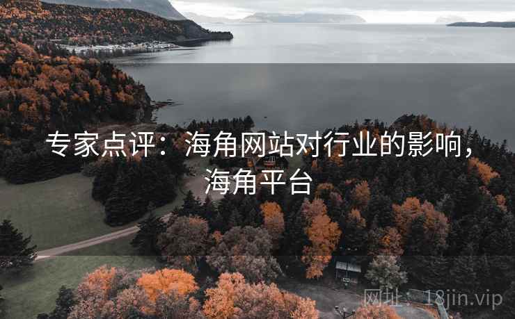专家点评：海角网站对行业的影响，海角平台
