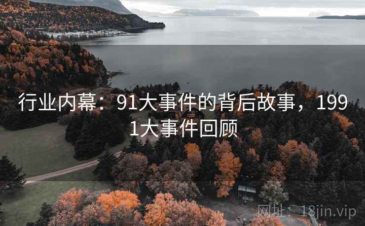 行业内幕：91大事件的背后故事，1991大事件回顾