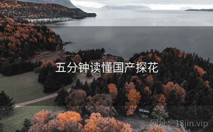 五分钟读懂国产探花