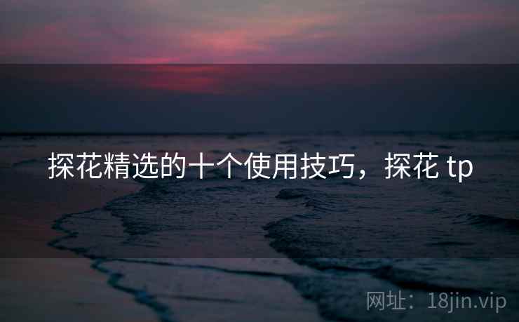 探花精选的十个使用技巧，探花 tp