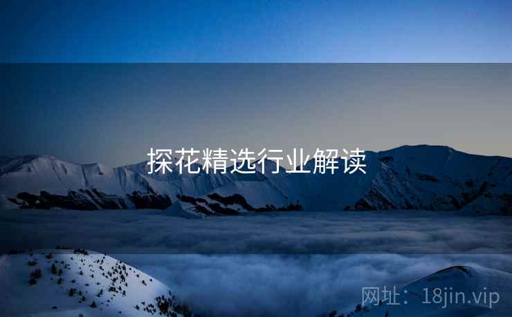 探花精选行业解读