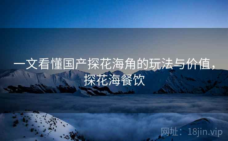 一文看懂国产探花海角的玩法与价值，探花海餐饮