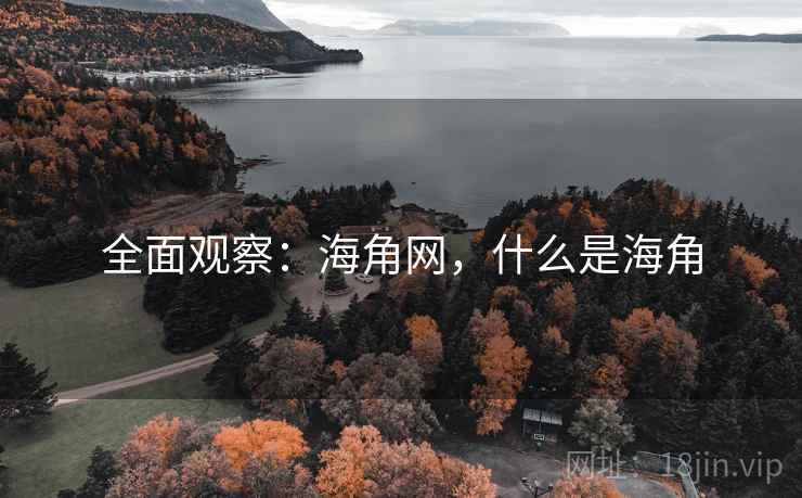 全面观察：海角网，什么是海角