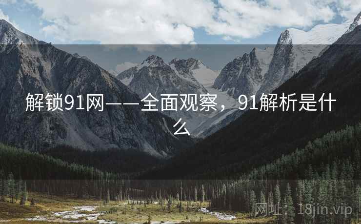 解锁91网——全面观察，91解析是什么