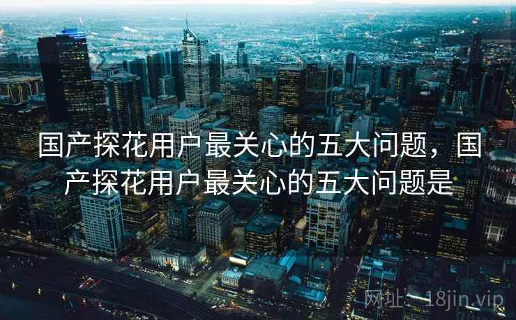 国产探花用户最关心的五大问题，国产探花用户最关心的五大问题是