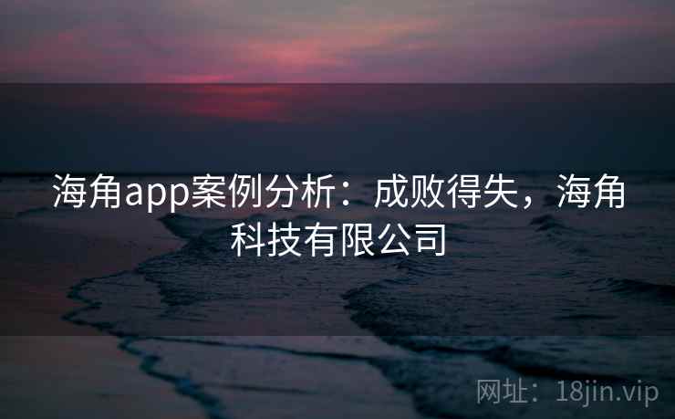 海角app案例分析：成败得失，海角科技有限公司