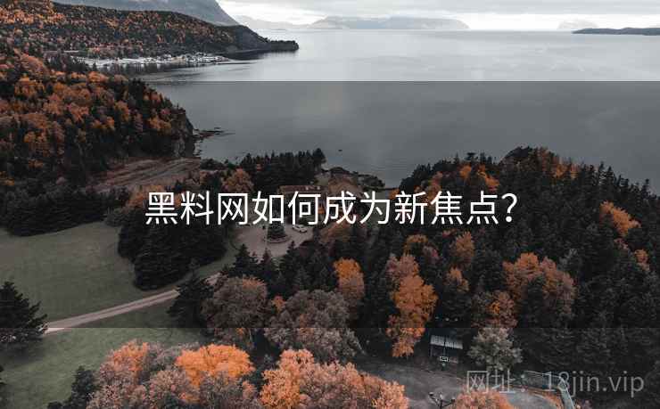 黑料网如何成为新焦点？